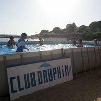 natation / aquagym